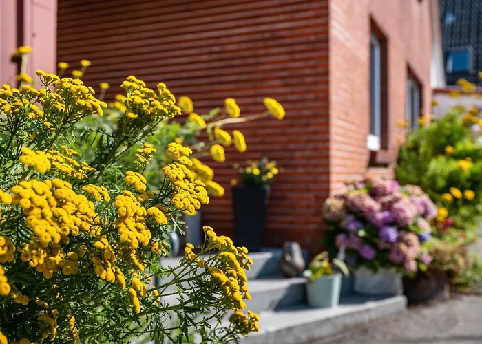 Appartement Kiesow *